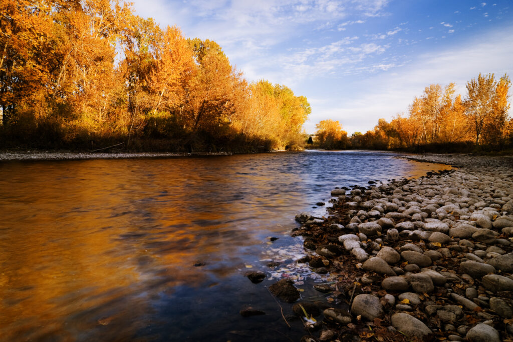 Beautiful autumn reflection along Boise River in Boise, Idaho, USA on a fine autumn evening.