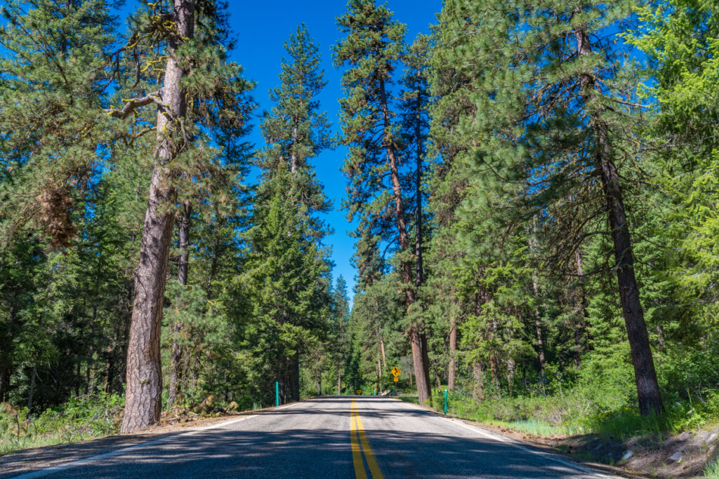 A view of the Ponderosa Pines Scenic Byway, Idaho