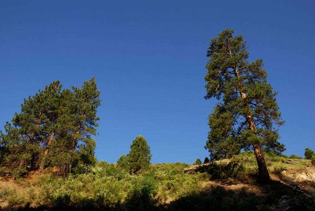 "Beautiful landscape on a fine summer day in Boise, Idaho, USAPlease visit my below Lightboxes for more Boise and Idaho Image options:"