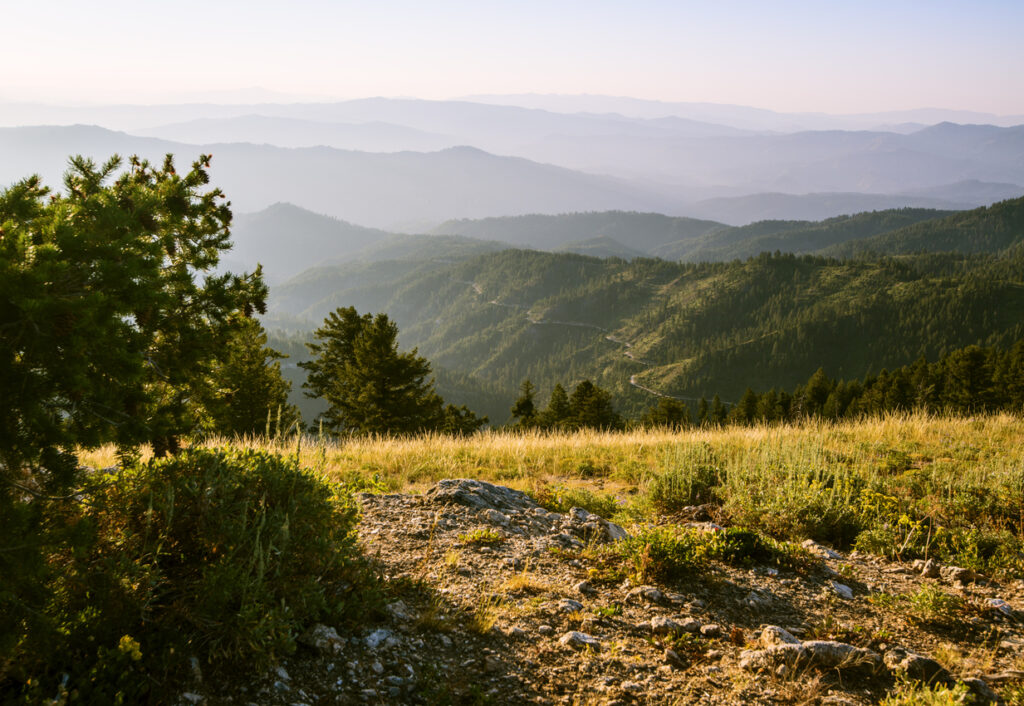 "Beautiful landscape in an early morning light at Mores Mountain, Idaho, USAPlease visit my below Lightboxes for more boise and Idaho Image options:"